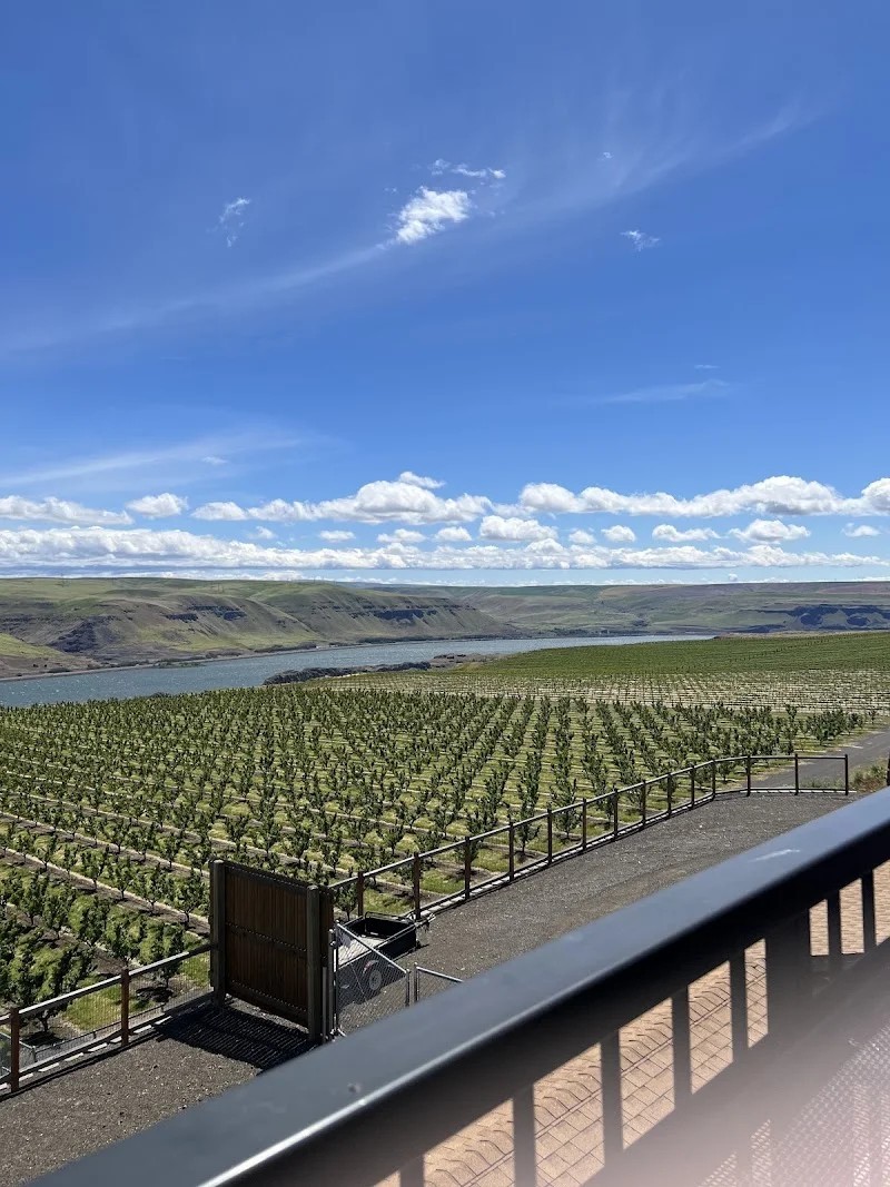 Photo of Maryhill Winery Goldendale Tasting Room & Bistro