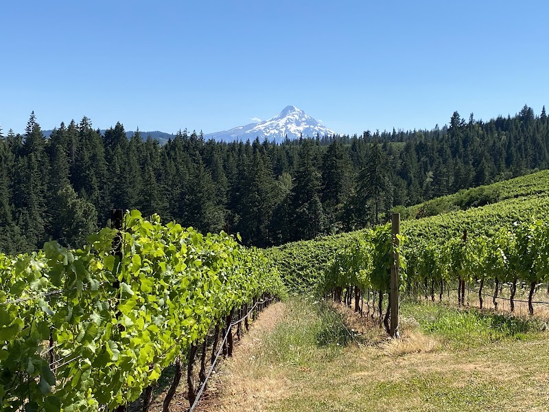 Photo of Phelps Creek Tasting Room