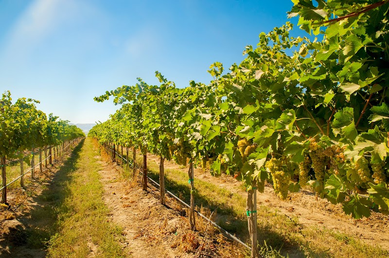 Photo of Gard Vintners Woodinville Wine Tasting Room