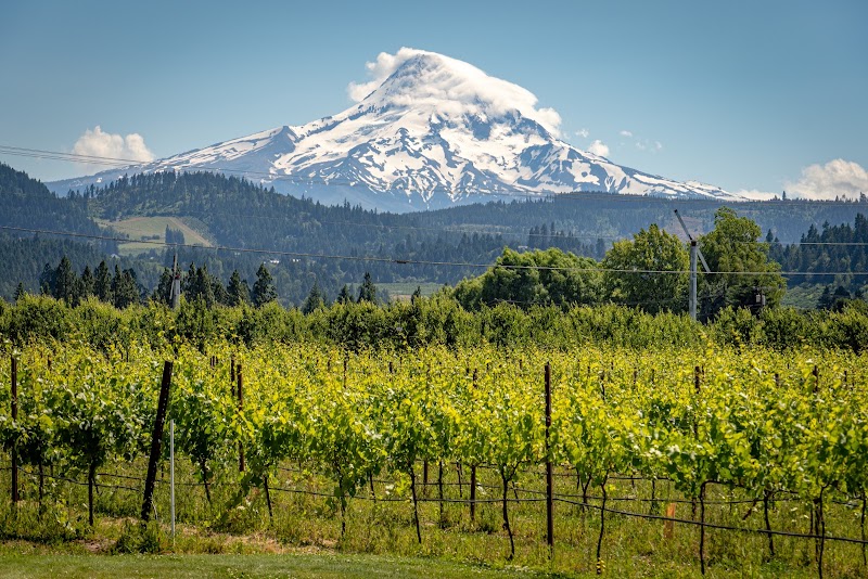 Photo of Mt. Hood Winery