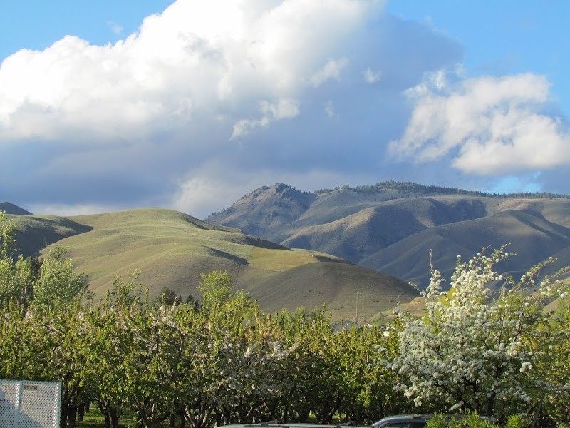 Photo of Warm Springs Inn & Winery