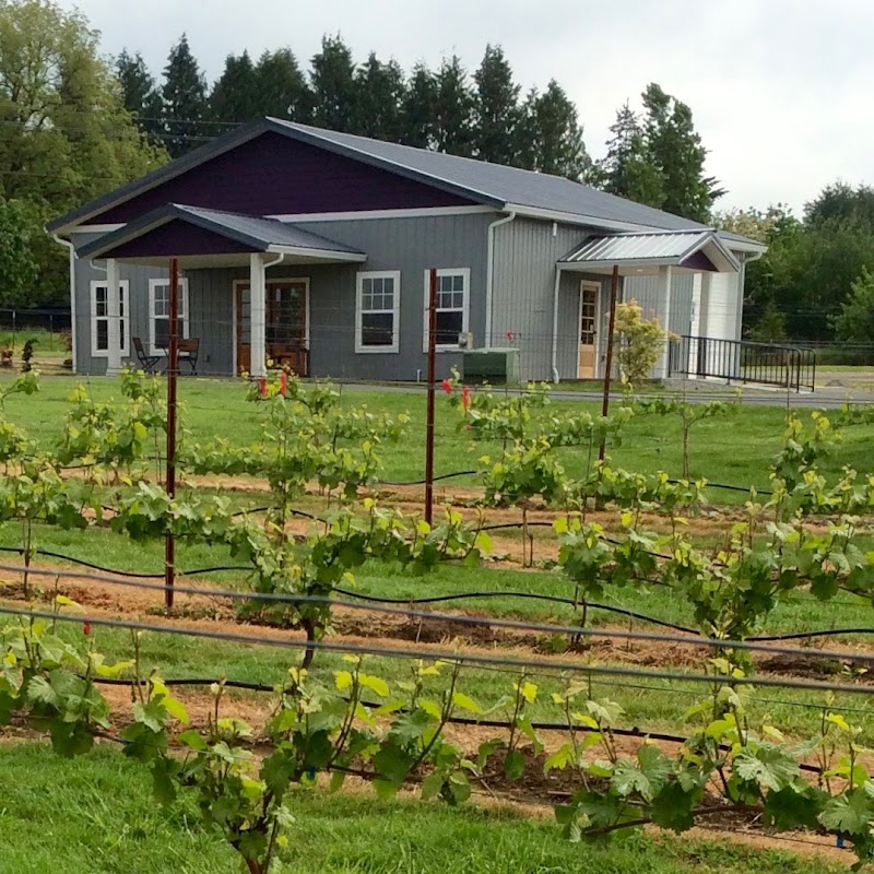 Photo of Dolio Winery & Vineyard