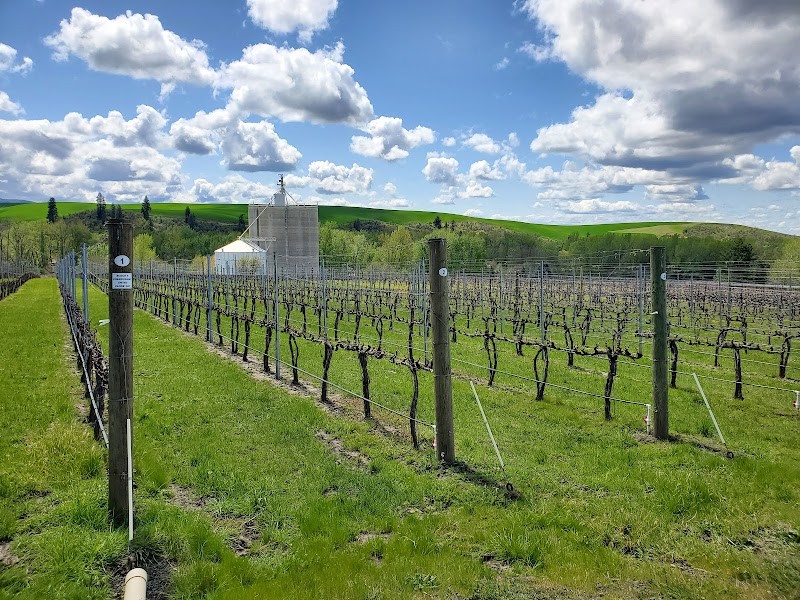 Photo of Aluvé