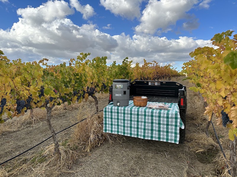 Photo of Dineen Vineyards