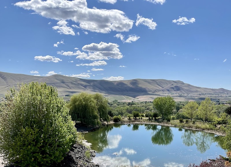 Photo of Terra Blanca Winery & Estate Vineyard