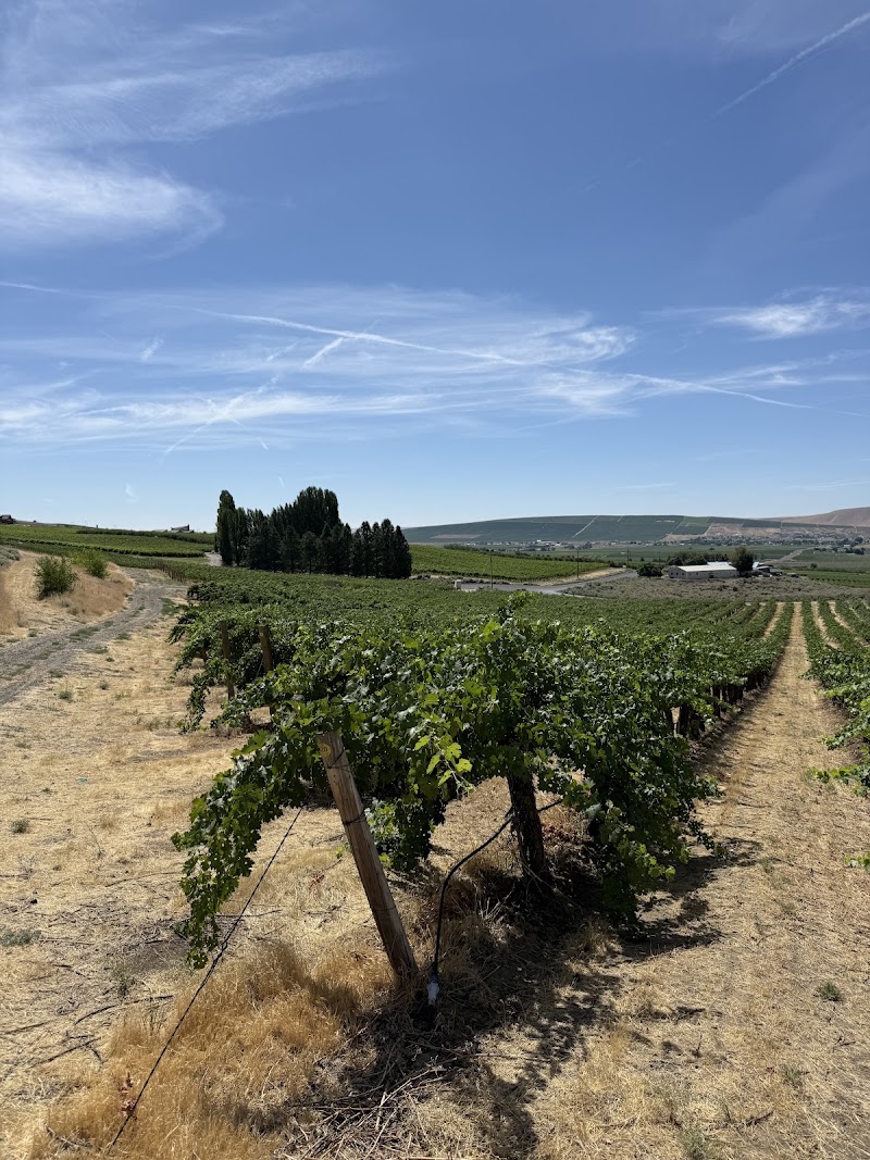 Photo of Avennia Estate Tasting Room
