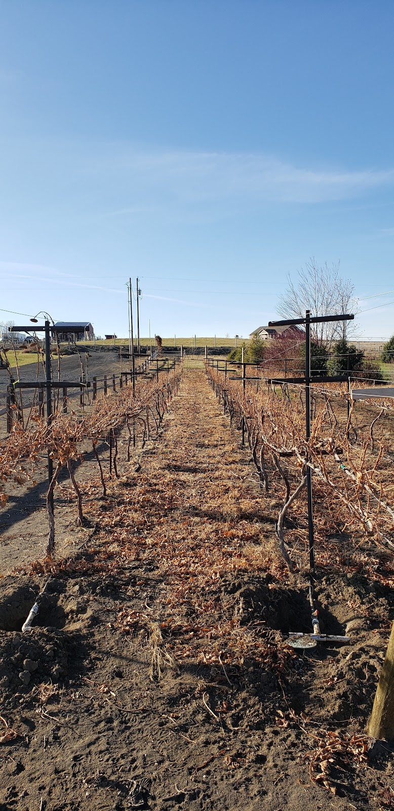 Photo of 4 Whistles Winery Tasting Room