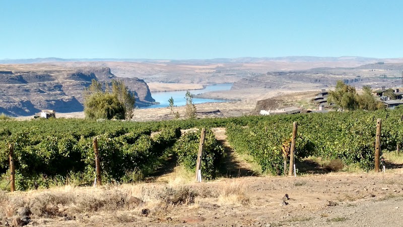 Photo of Cave B Estate Winery-Main Quincy Tasting Room & Winery
