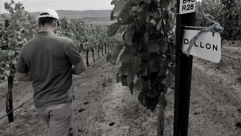 Photo of DILLON CELLARS