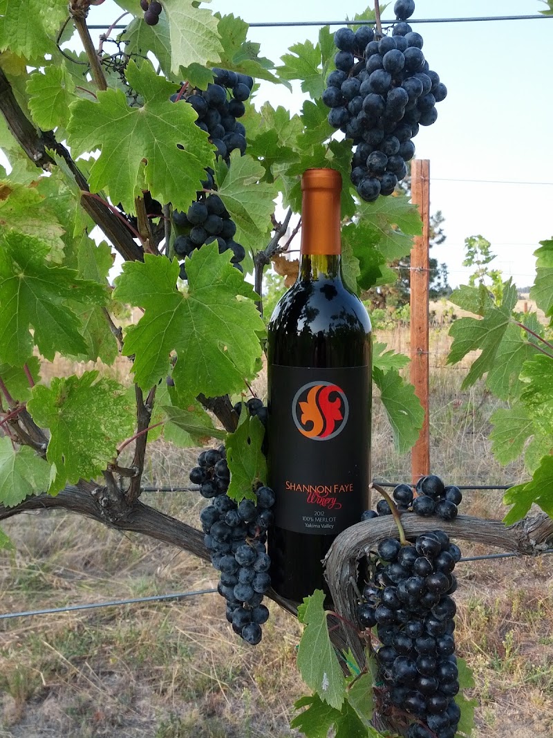 Photo of Shannon Faye Winery