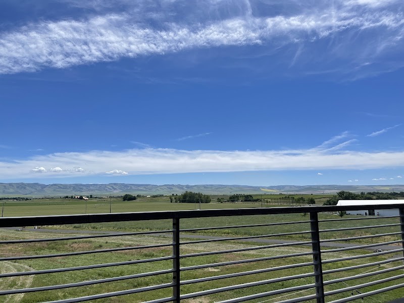 Photo of Amavi Cellars