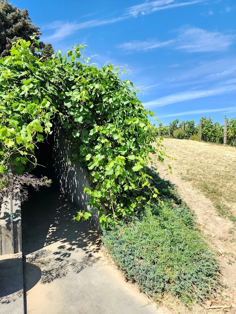 Photo of Zerba Cellars